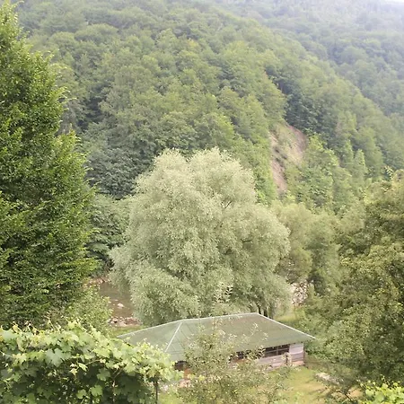 Mrija Lodge Jaremtsje