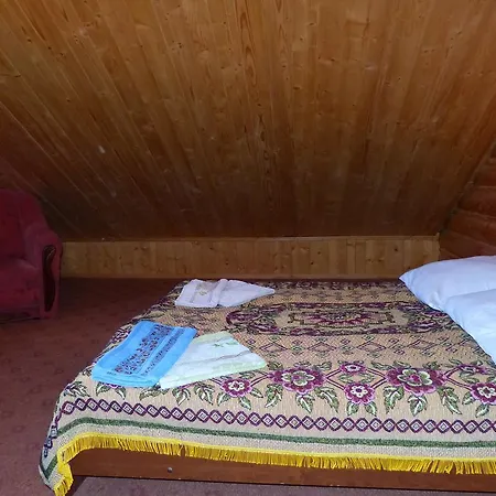 Mrija Деревянный коттедж *