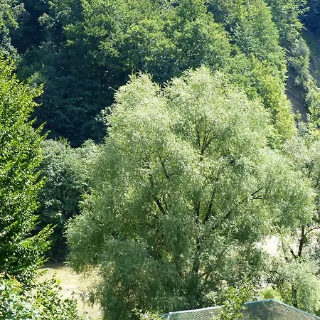 Mrija *
