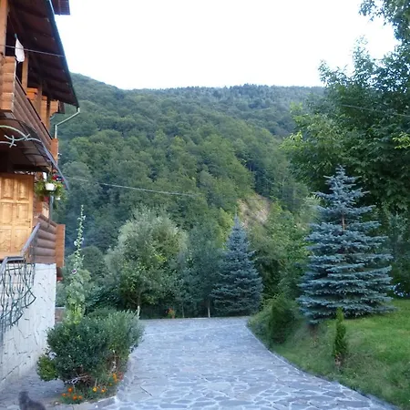 Mrija Деревянный коттедж Яремча