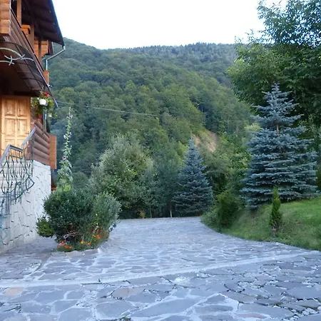 Mrija *