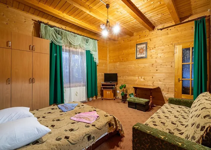 Mrija Lodge *