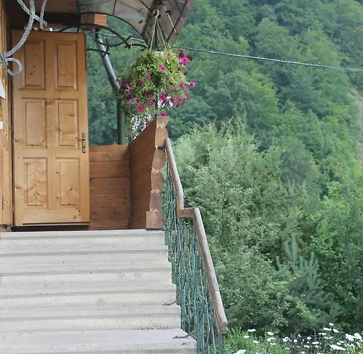 Mrija Деревянный коттедж *