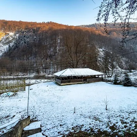 Mrija Деревянный коттедж *